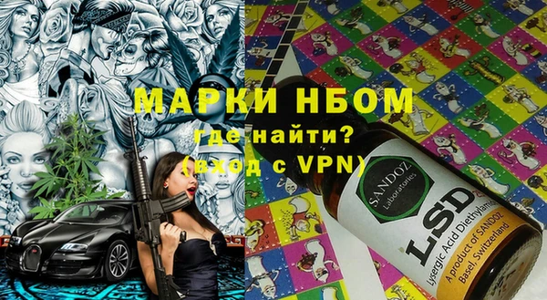 ГАЛЛЮЦИНОГЕННЫЕ ГРИБЫ Богданович
