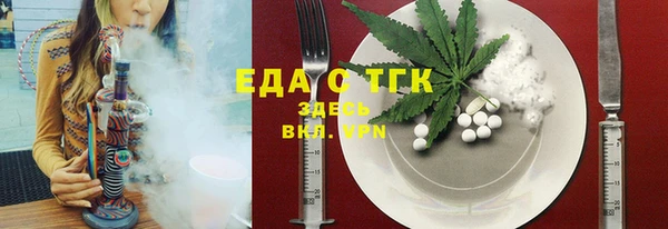 индика Богородицк