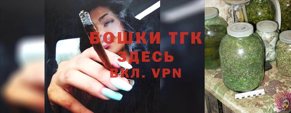 индика Магас