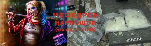 индика Богородицк