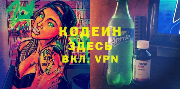 индика Богородицк