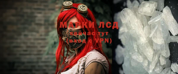 ГАЛЛЮЦИНОГЕННЫЕ ГРИБЫ Богданович