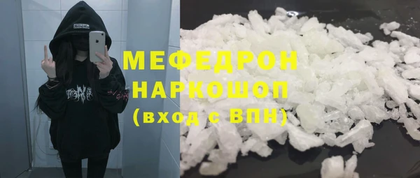 индика Богородицк