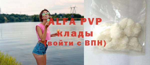 индика Богородицк