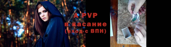 ГАЛЛЮЦИНОГЕННЫЕ ГРИБЫ Богданович