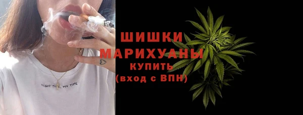 индика Богородицк