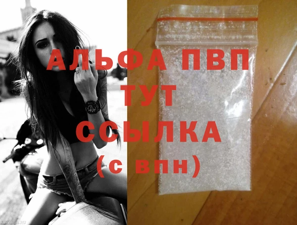 шишки Белокуриха