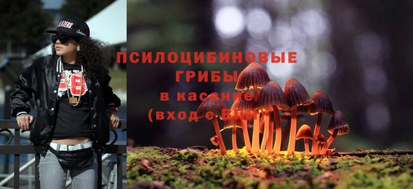 трава Балахна