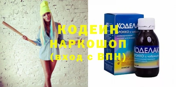 индика Богородицк
