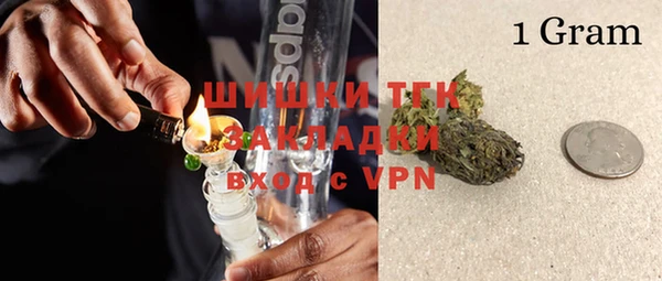 ГАЛЛЮЦИНОГЕННЫЕ ГРИБЫ Богданович