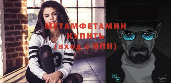 индика Богородицк